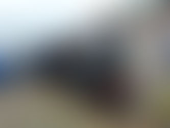 Het "Tigerli" onder stoom.