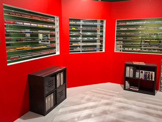 Een deel van de collectie wordt in vitrines gepresenteerd.