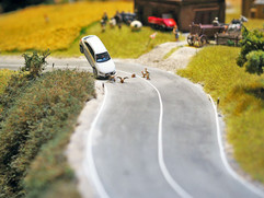 Vorsicht: Federvieh auf der Strasse!