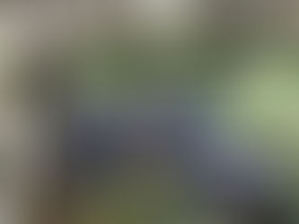 Das Venedig des Nordens wird seit einiger Zeit von Taschendieben heimgesucht.