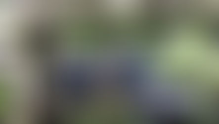 Das Venedig des Nordens wird seit einiger Zeit von Taschendieben heimgesucht.