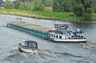 Sorgenfrei durch den Sommer