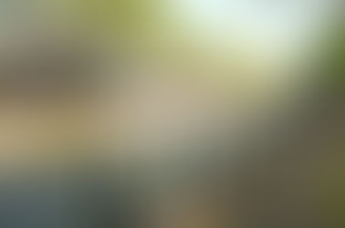 650 Jahre Oude Sluis Vreeswijk