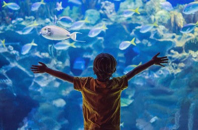 Genova akvárium gyerekekkel – családi program a kikötőnél