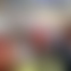 Retour sur la journée "Solidarité" du Département lors de la 76ème Foire de Châlons