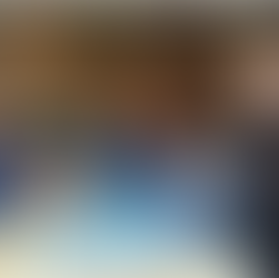 Le projet de blanchisserie industrielle et des prestations de service à développer