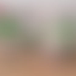 Tournoi de futsal inter-ESAT