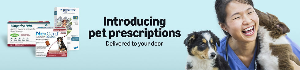 Smiling woman with two dogs, one licking her face. Text reads "Introducing pet prescriptions delivered to your door." Blue background.
