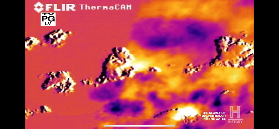 Thermal image showing abstract patterns in orange and purple shades. Text: FLIR ThermaCAM, TV PG LV, The Secret of Skinwalker Ranch.