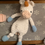 Thumbnail: Adorable Snuggle Unicorn