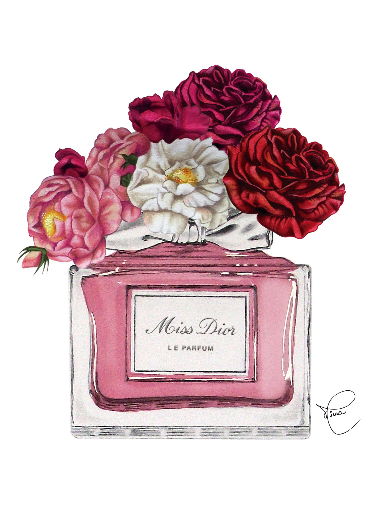 Dior & Roses