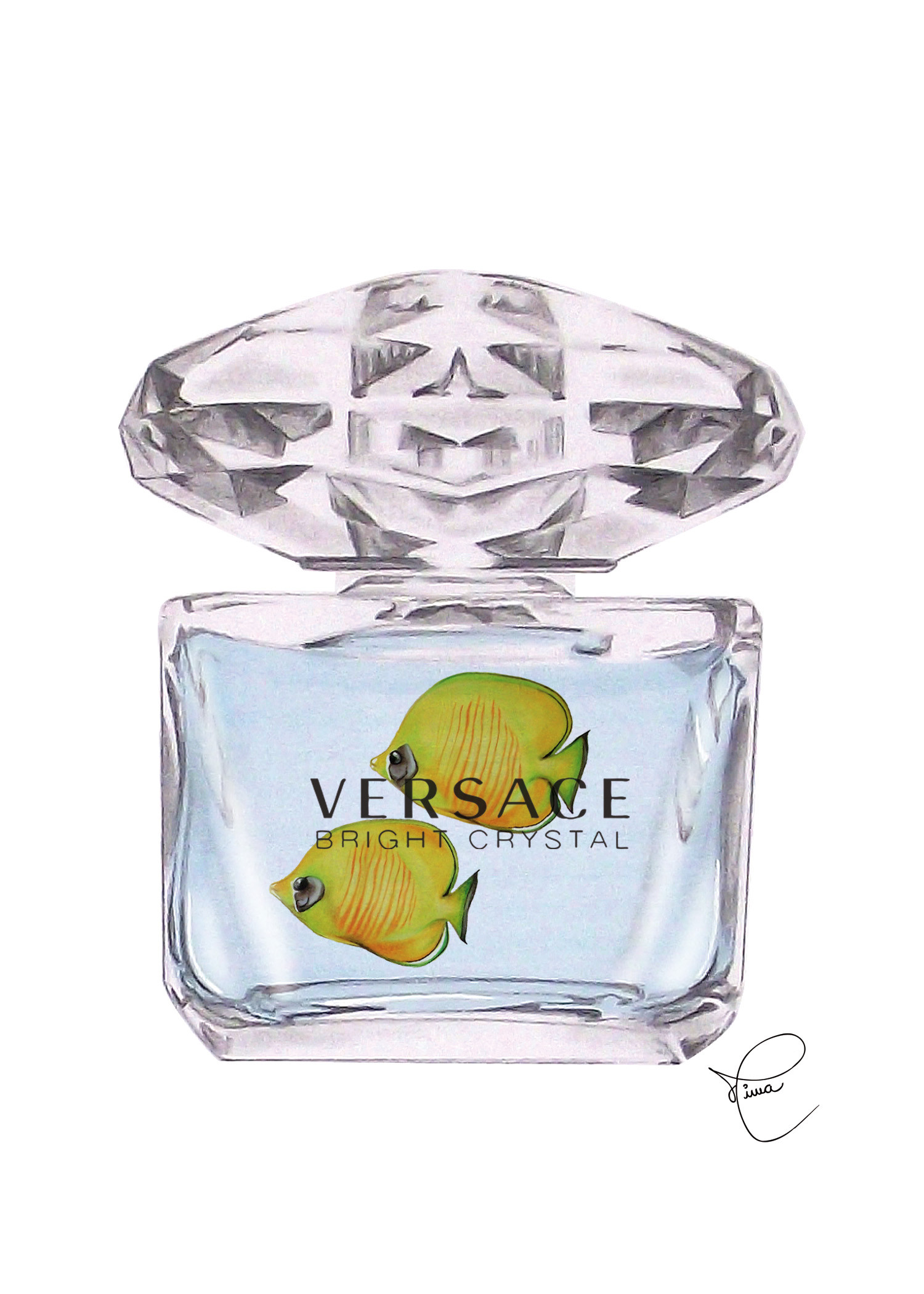 Versace & Tropical Fish