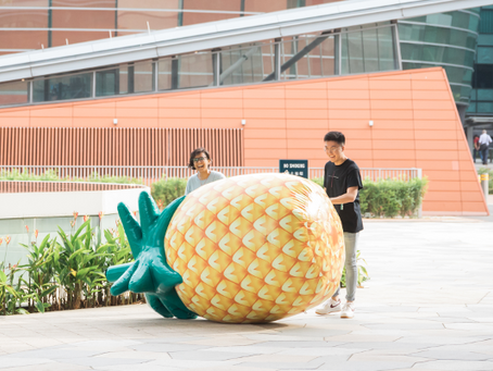 Rolling Pineapple Feng Shui