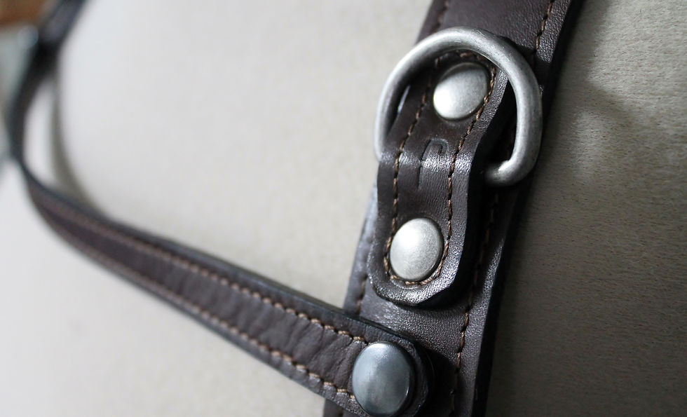 Thumbnail: Photography Harness