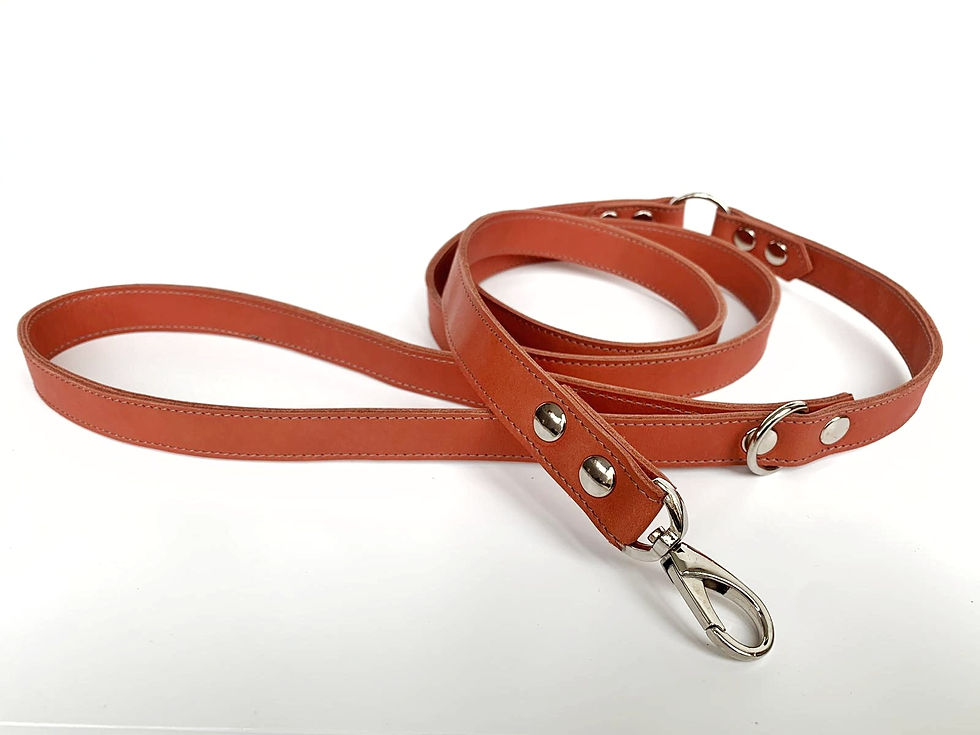 Thumbnail: Dog Leash | BRUNO