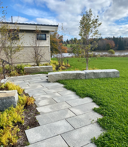 Screen Shot 2023-11-14 at 2.59.41 PM.png