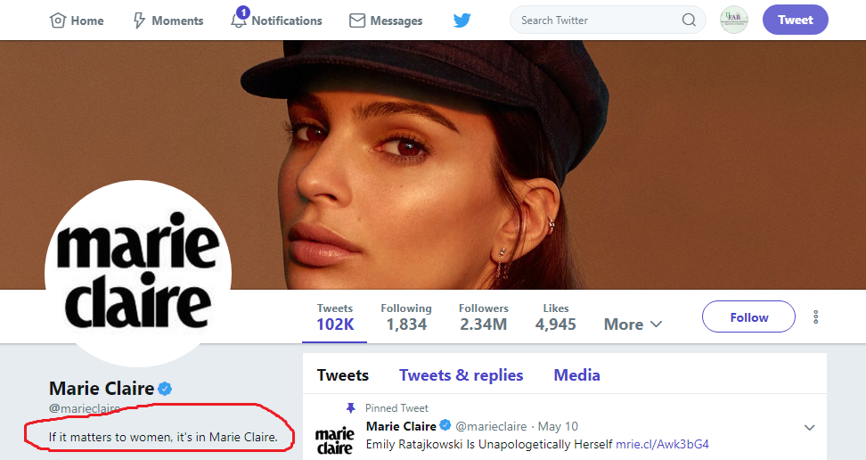 This image shows a Twitter screen cap with the tagline "If it matters to women, it's in Marie Claire" circled.