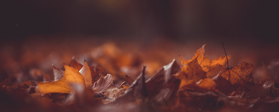 Autumn Leaves