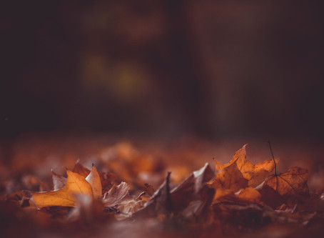 Uncertainty Surrounding Fall: Time is of the Essence