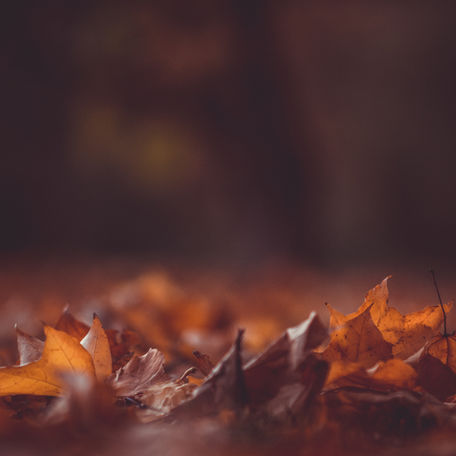 COVID-19: Using an understanding attachment to help cope this winter (part 2)