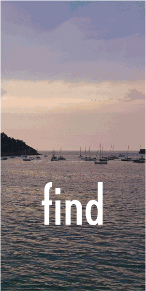 travelfinal.gif