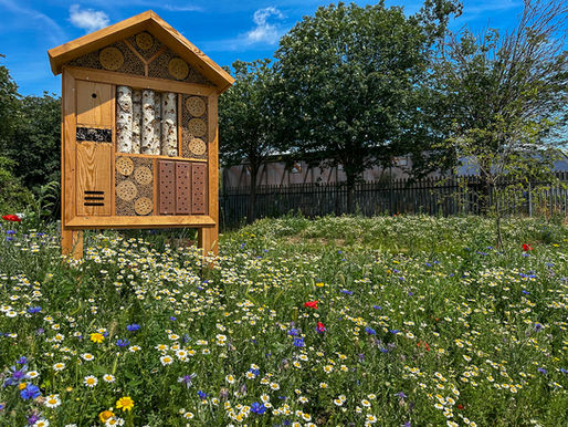 Insect hotel for pollinators surrounded by wildflowers