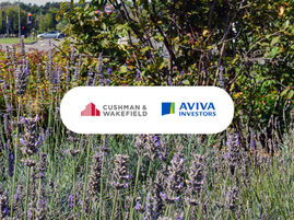 Floral bush with logos