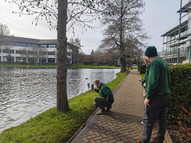 Data recording for biodiversity course and species insight