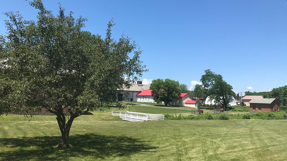 The Shaker Heritage Society Summer Craft Fair