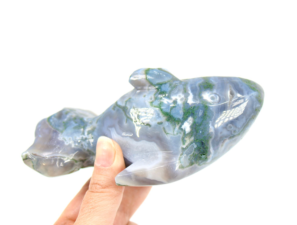 Thumbnail: Moss Agate Fish carving with druzy