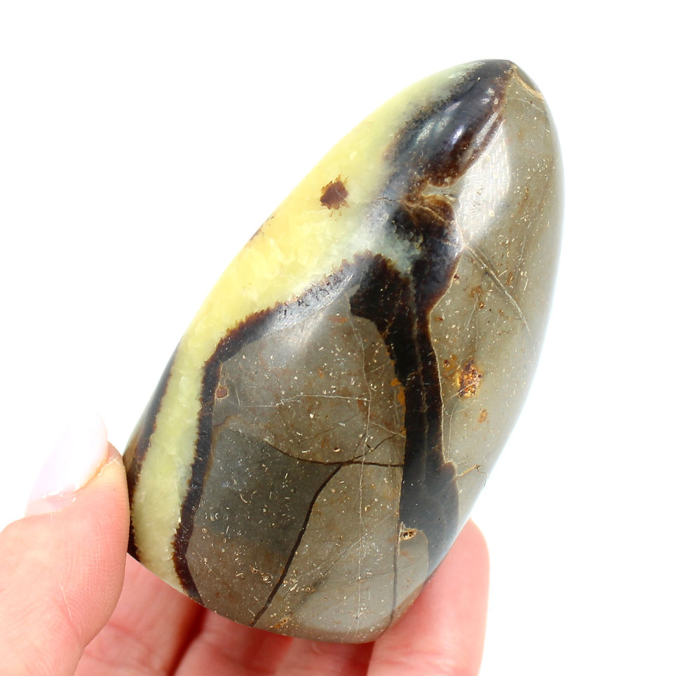 Thumbnail: Septarian Freeform