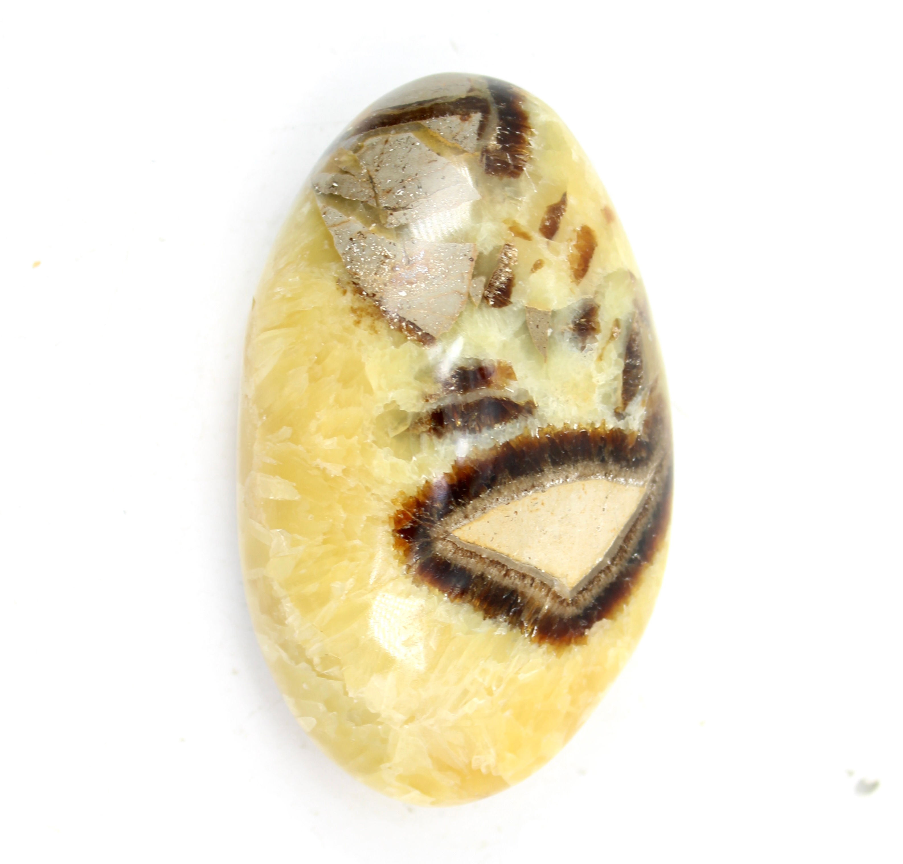 Septarian Polished Palmstone