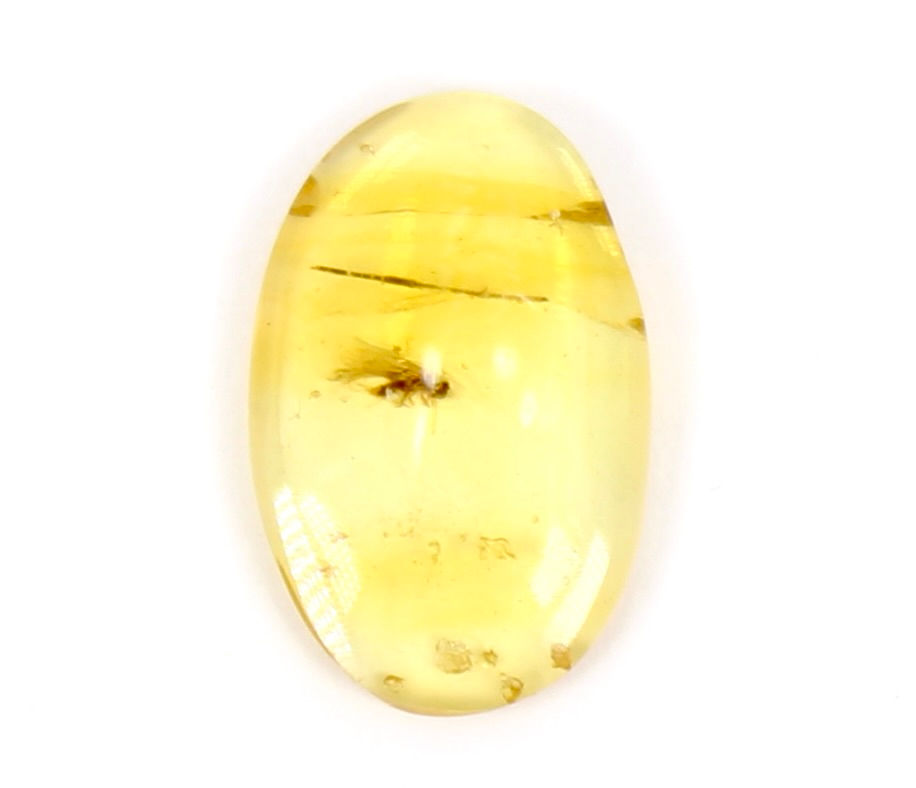 Gold Baltic Amber Piece with Bugs