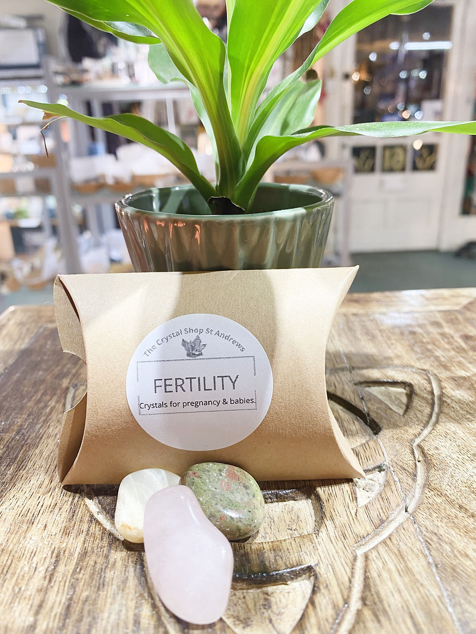 Thumbnail: Little Box: Fertility