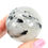 Thumbnail: Tourmaline in Quartz Sphere
