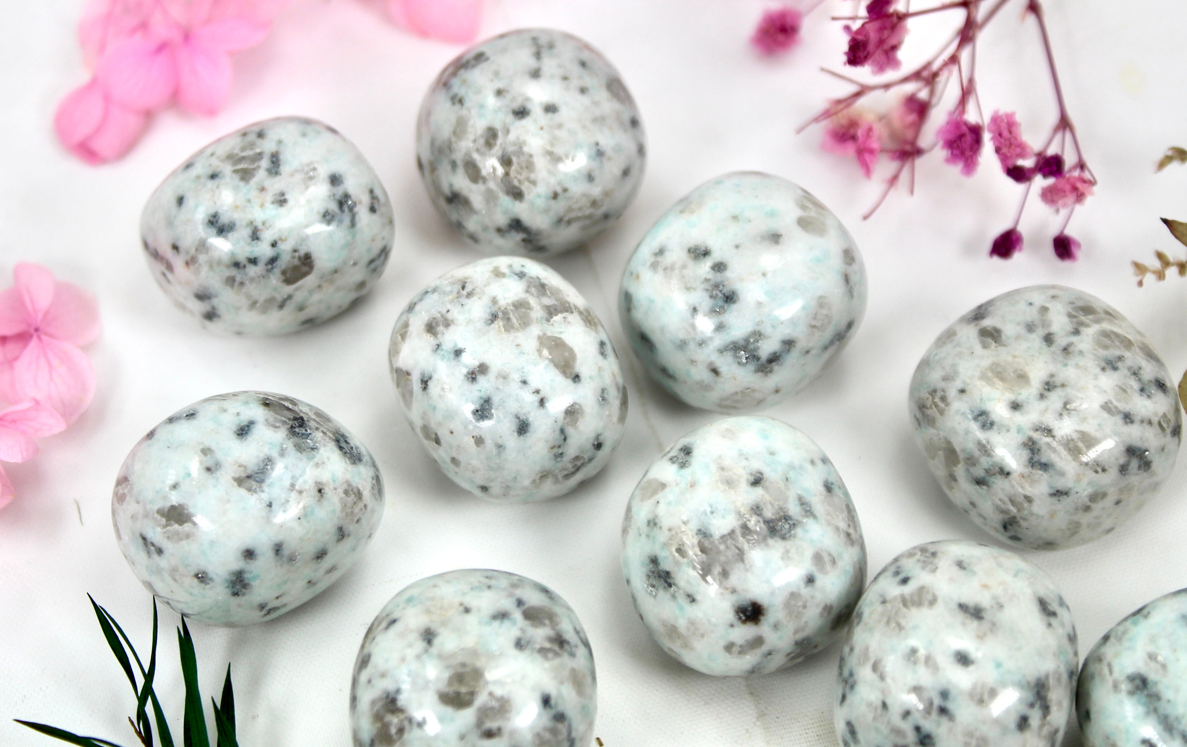 Lotus Jasper Tumble Stones