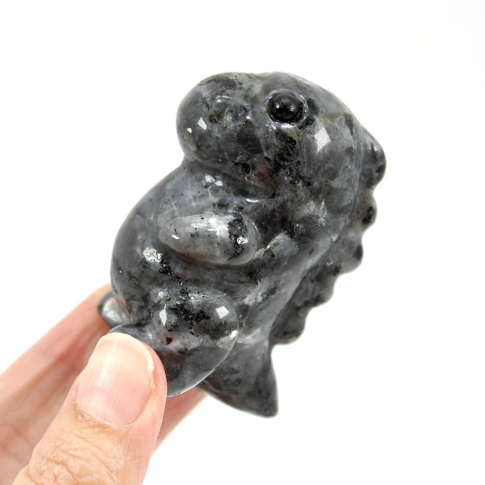 Thumbnail: Larvikite Dinosaur