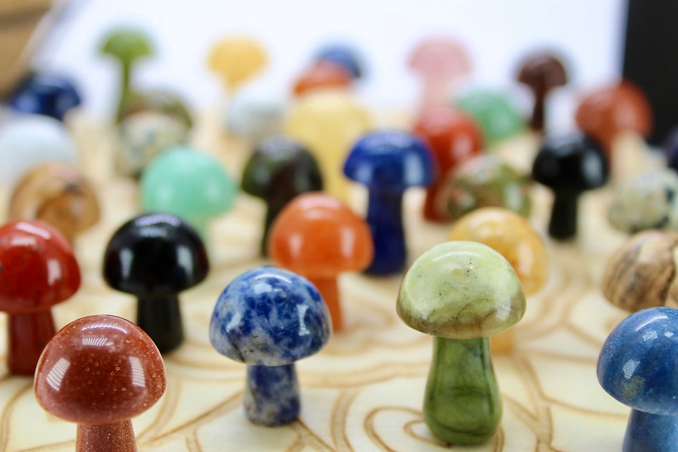 Thumbnail: Mushrooms
