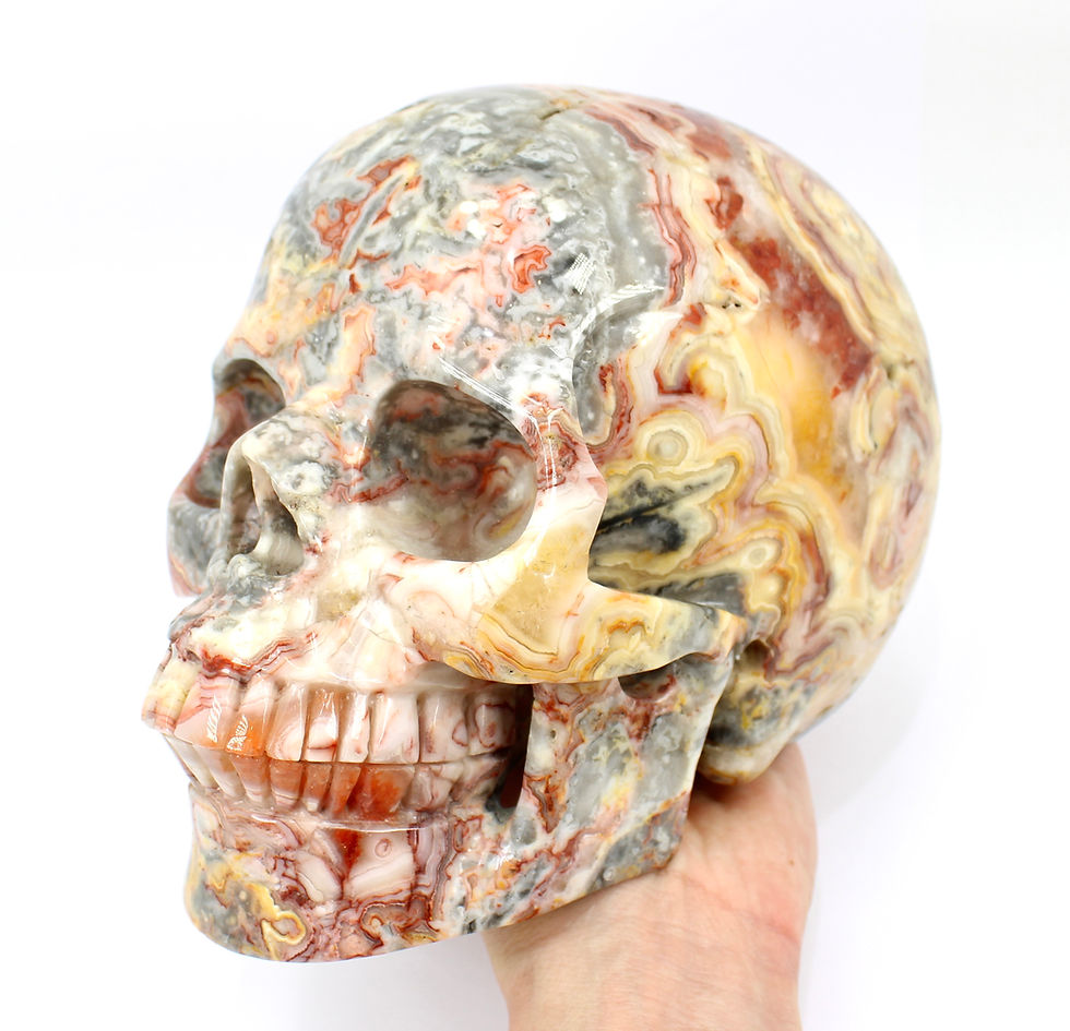 Thumbnail: Crazy Lace Agate Skull