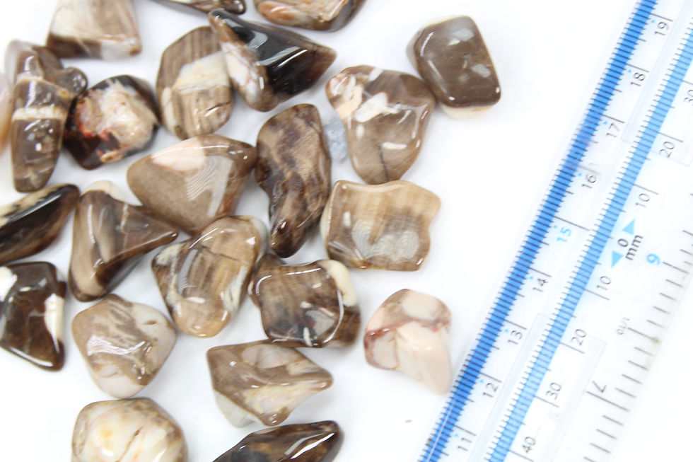 Thumbnail: Peanut Wood Tumble Stone