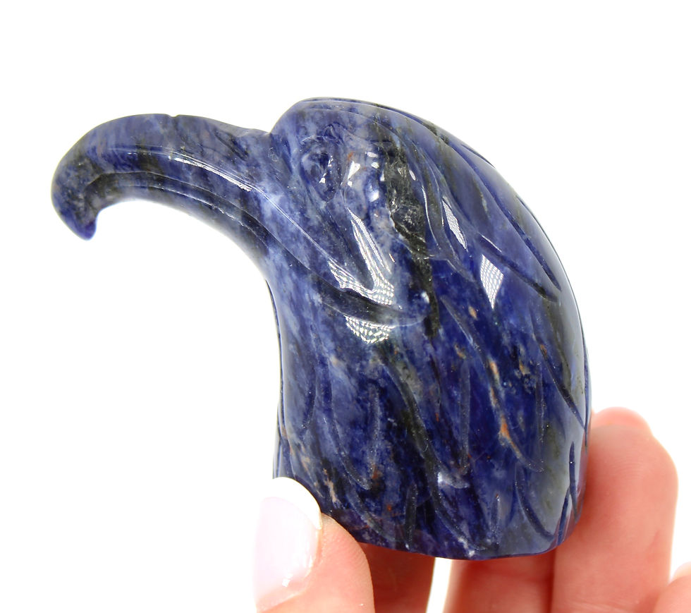 Thumbnail: Sodalite Seagull Carving