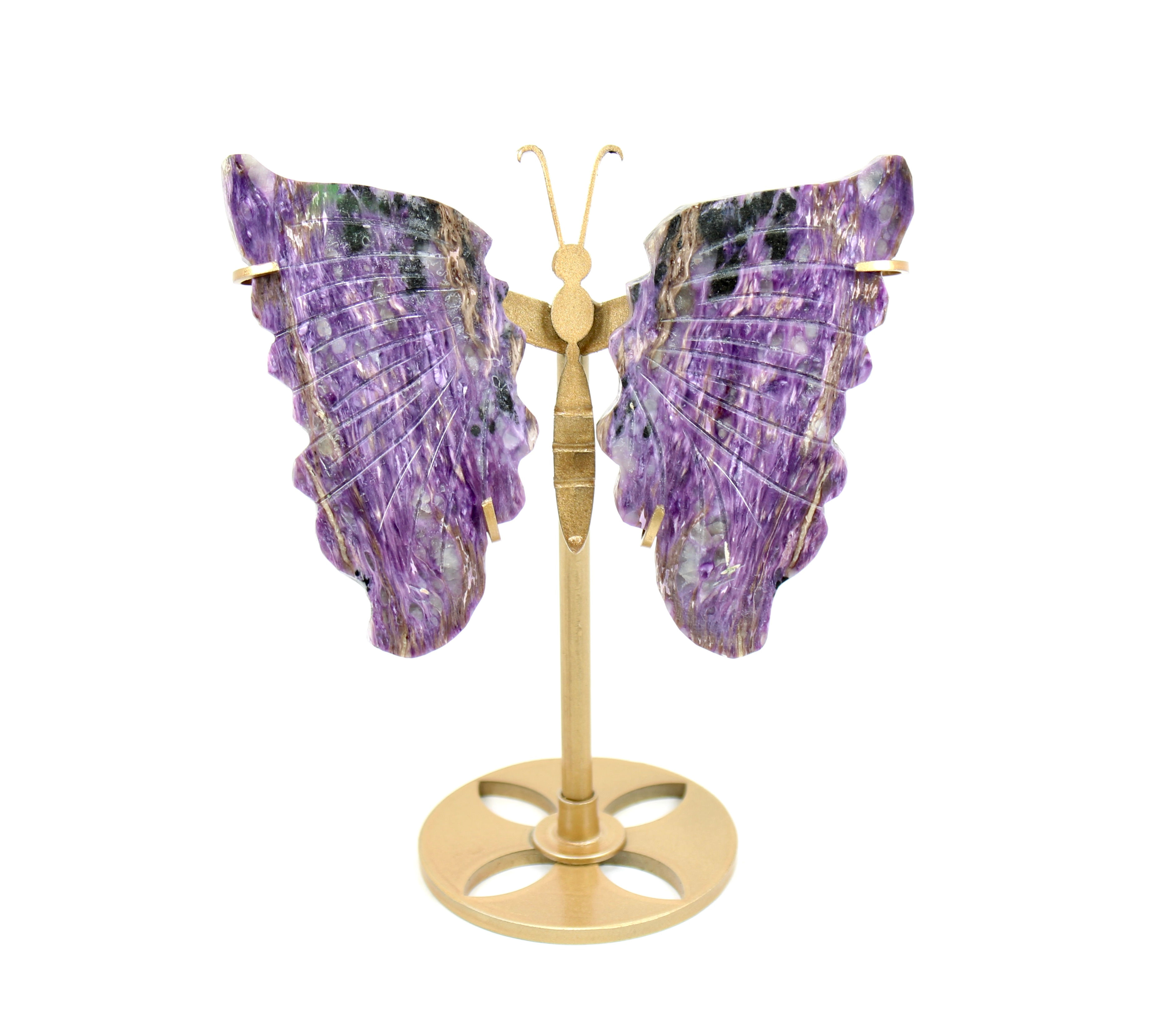 Charoite Butterfly Wings