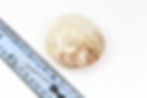 Thumbnail: Flower Agate Palmstone with Quartz Inclusions