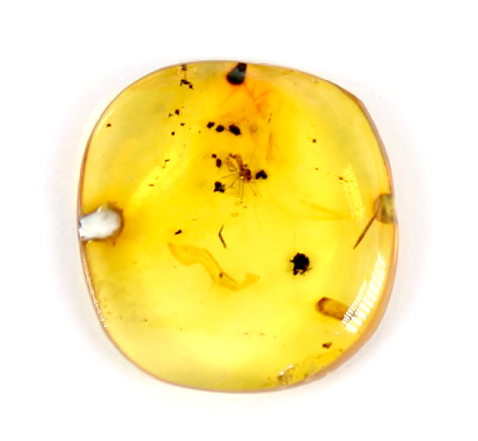 Thumbnail: Gold Baltic Amber Piece with Bugs
