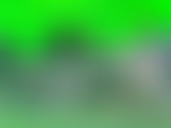 JOY: (n) a fruit of the Spirit