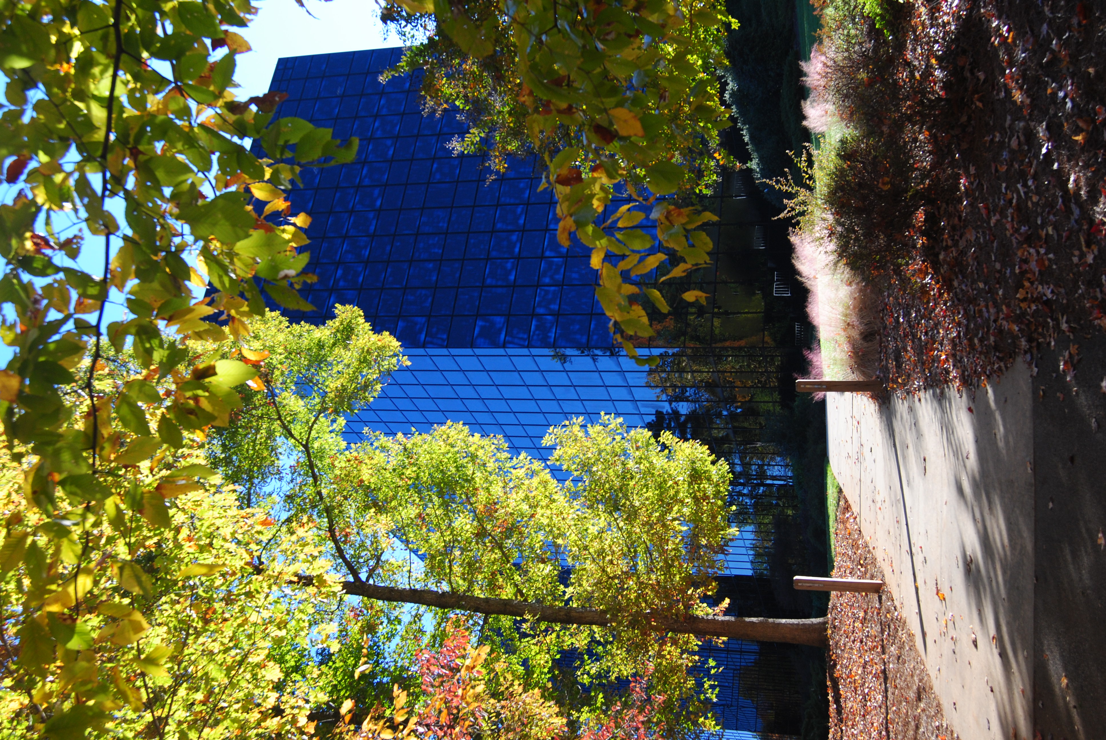 landscape architect jobs raleigh nc landscape architect jobs raleigh nc