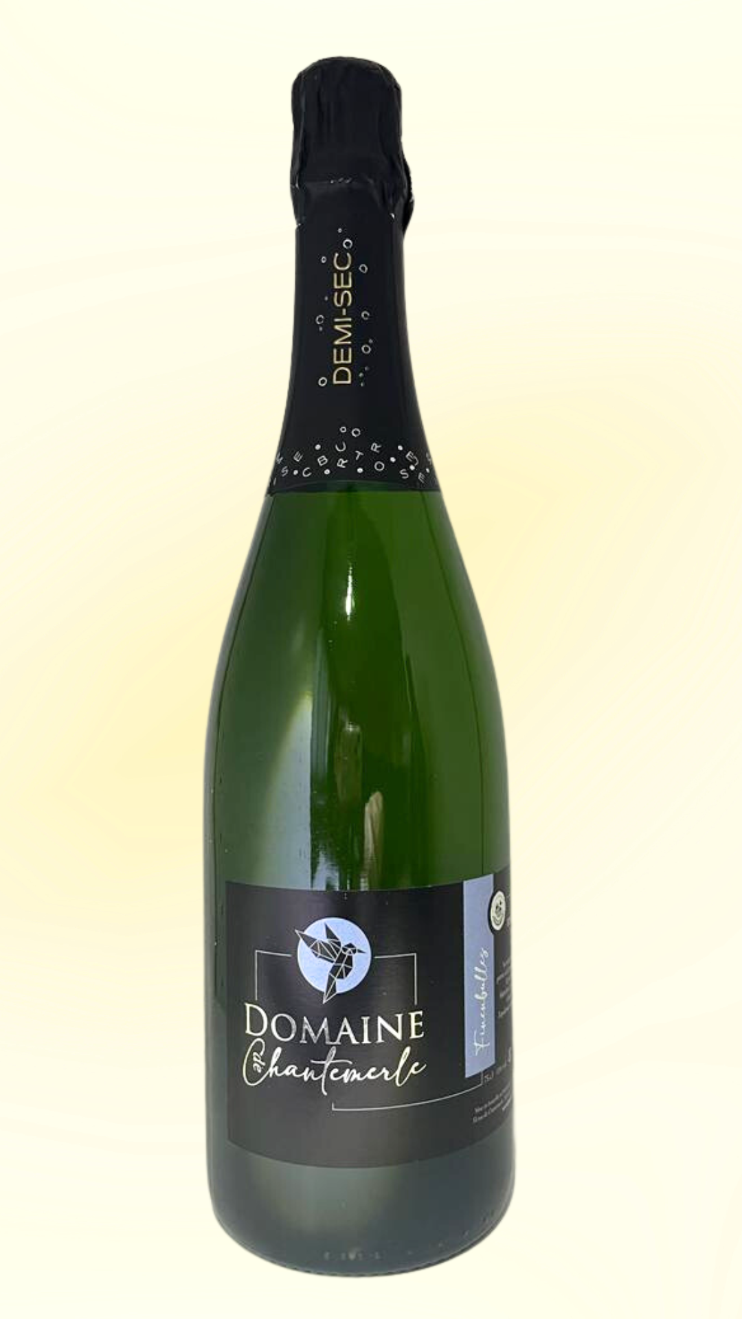 Fines Bulles de Loire demi-sec - Carton de 6