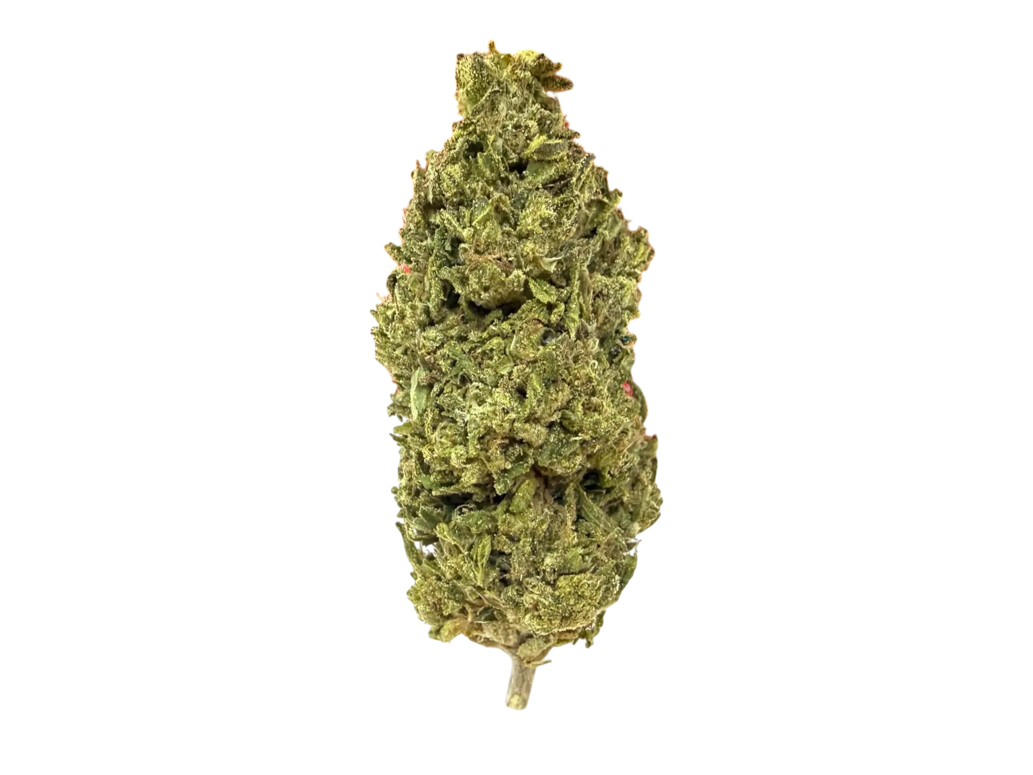 Durban Poison