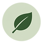 ChatGPT Image Sep 26, 2026, 06_02_09 PM-3.png