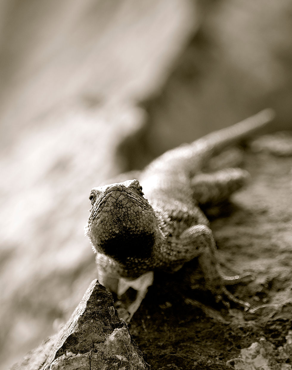 DSC_1228 - Version 2.jpg